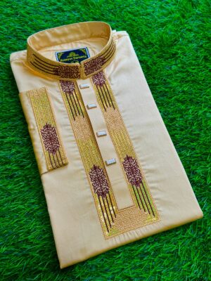 লাক্সারি সিকুয়েন্স পাঞ্জাবি কোডঃ H223
