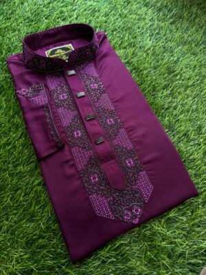 Luxury Panjabi Code:- H278
