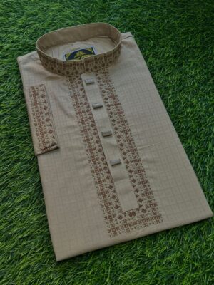 Luxury Panjabi Code:- H288