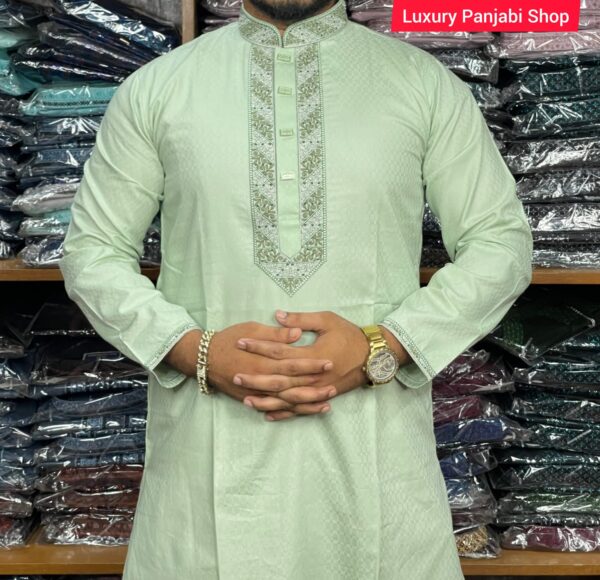 Luxury Panjabi Code- H293