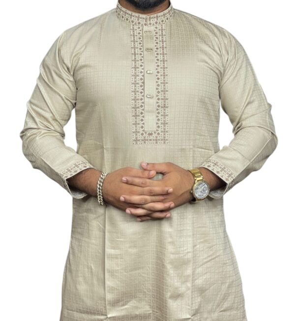 Luxury Panjabi Code:- H304