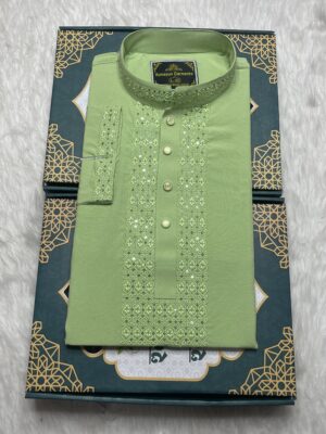 প্রিমিয়াম লাক্সারি পাঞ্জাবি কোডঃ H313